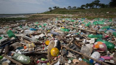 Foto de Somente 9% do plástico produzido pela humanidade foi reciclado