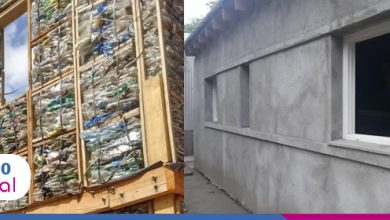 Foto de Argentinos criam sistema construtivo à base de madeiras e garrafas PET recicláveis