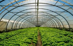Centro de Pesquisa de Plasticultura para o agro