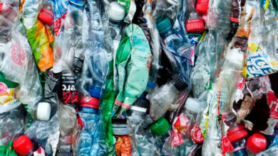 Foto de Reciclado vira propano, Uma experiência sensorial e Premiação para a reciclagem
