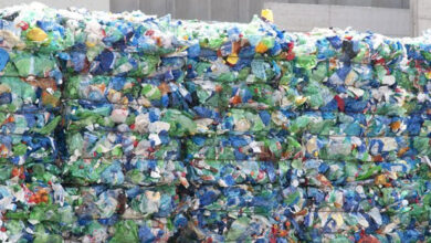 Foto de Reciclagem do plástico gera recursos