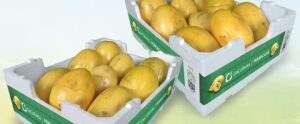 Embalagens em EPS reduz perdas no transporte de frutas