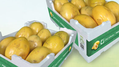 Foto de Embalagens em EPS reduz perdas no transporte de frutas