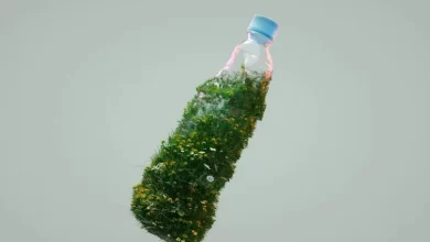 Foto de Plástico reciclável sem derivados do petróleo