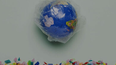 Foto de ADIRPLAST incentiva associados a promover a circularidade do plástico