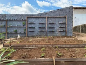 Horta em reciclado, Circularidade e sustentabilidade em embalagens