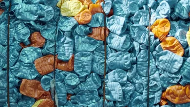 Foto de Casa de plástico, Rede de pesca que vira sacola e Embalagens mais sustentáveis