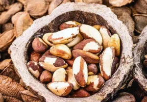 Plástico de castanha, Garrafa biodegradável e Educação sustentável