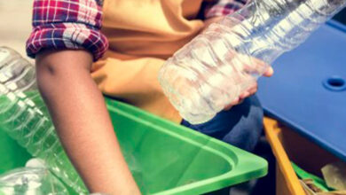 Foto de Maior índice de reciclagem, Bactérias decompõem PET e Plástico como pagamento