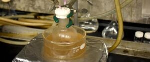 Cientistas usam técnica que transforma plásticos em sabão