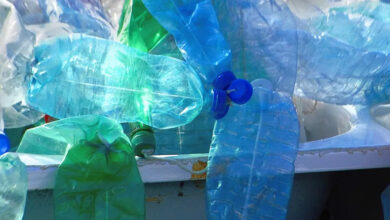 Foto de Ações de política pública e remuneração de catadores de plástico 