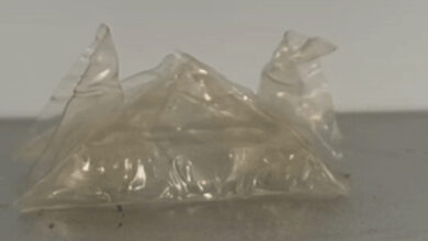 Foto de Novo plástico biodegradável possui rápida decomposição