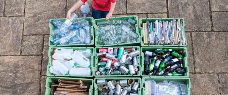 Preço pago por reciclagem apresenta queda 