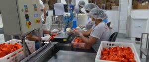 CNI aponta cenário positivo da indústria de transformação