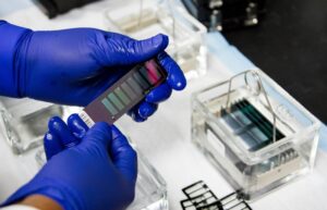 Polímero condutor para eletrônicos de resíduos plásticos, plástico de resíduos vegetais e reconhecimento por compensação em embalagens
