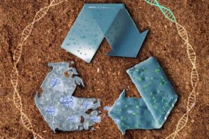 Casas de plástico reciclável, Canudos e talheres com bioplástico 100% compostável e plástico do futuro