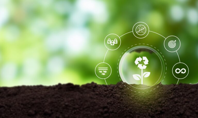 Como certificações sustentáveis fortalecem as empresas e economia circular