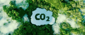 Como os créditos de carbono pessoais podem ajudar a reduzir o impacto ambiental