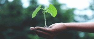 A revolução da economia circular no setor de plásticos
