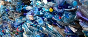 Pesquisadores brasileiros identificam enzimas que transformam plásticos