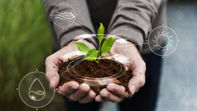 Foto de Brasil avança em ranking de sustentabilidade
