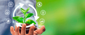 Entenda o atual cenário da economia circular no Brasil