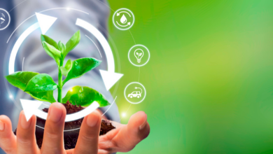Foto de Entenda o atual cenário da economia circular no Brasil