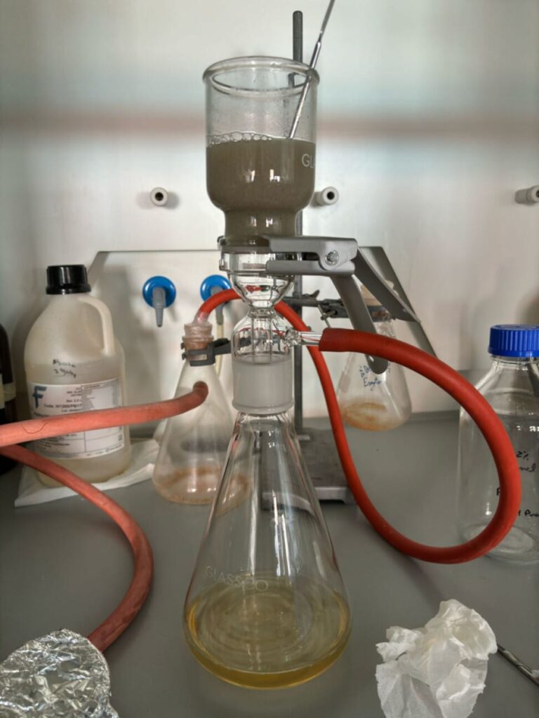 Cientistas de Portugal exploram fungos marinhos para degradar microplásticos