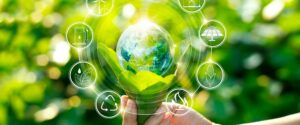 Sustentabilidade cresce entre os brasileiros
