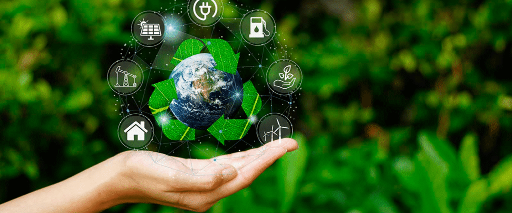 Projeto ambiental visa fortalecer cadeia produtiva do plástico para catadores