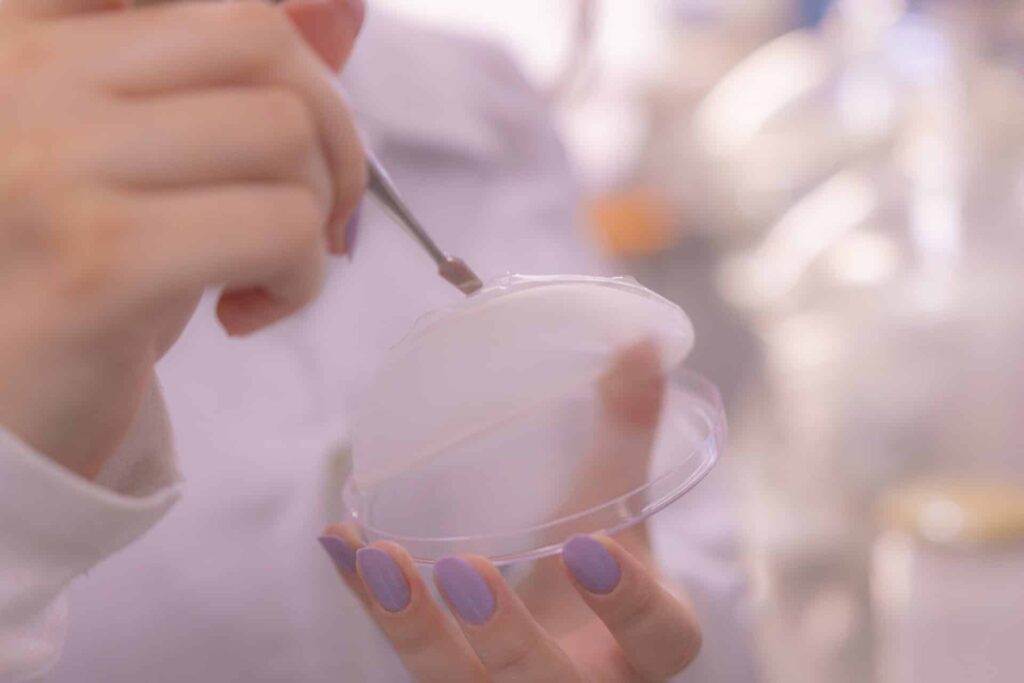Bioplástico de amido de milho