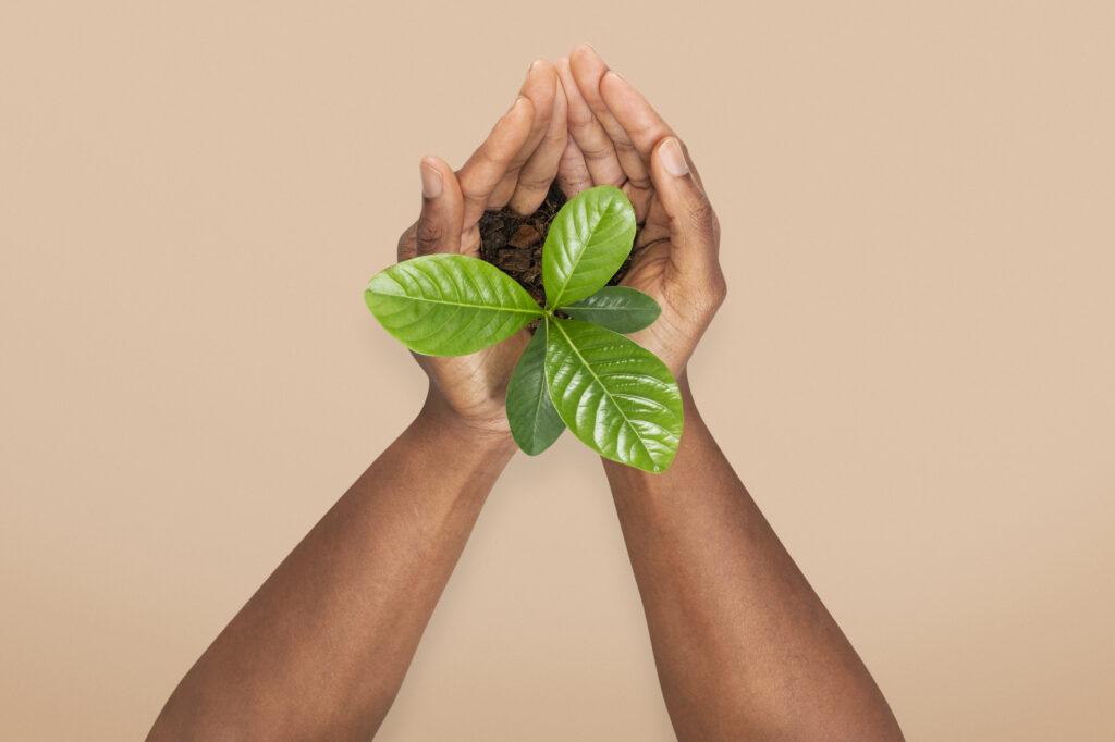 A importância da semana do meio ambiente e a contribuição da indústria do plástico