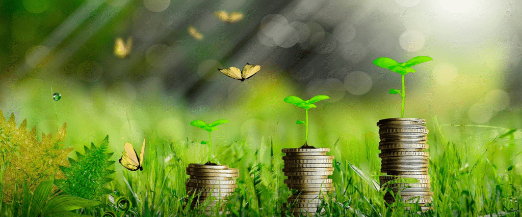 Economia circular