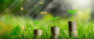 Empresas brasileiras avançam na economia circular mesmo sem incentivos externos