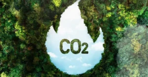 Créditos de carbono de reciclagem no Brasil podem gerar R$ 2,8 bi