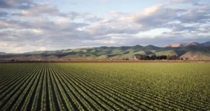 Setor agrícola avança na logística reversa de plásticos