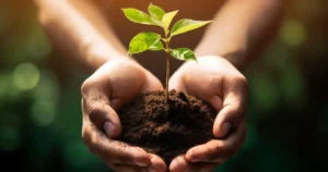 Dia Mundial do Meio Ambiente: conheças inovações sustentáveis do plástico