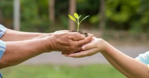 Junho Verde: desmistificando a atuação do plástico na sustentabilidade