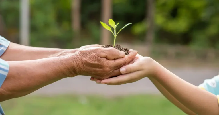 Junho Verde: desmistificando a atuação do plástico na sustentabilidade