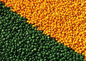 miniPLAST Pigmentos - Aws Brasil